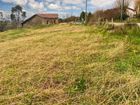 Estate Agents Picture 1