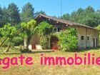 Estate Agents Picture 2