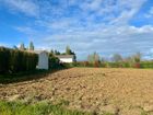 Estate Agents Picture 2