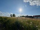 Estate Agents Picture 3