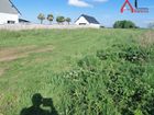 Estate Agents Picture 2
