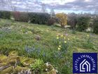 Estate Agents Picture 1