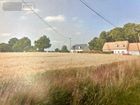 Estate Agents Picture 3