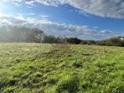 Estate Agents Picture 3