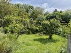 Estate Agents Picture 1
