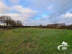 Estate Agents Picture 2