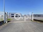 Estate Agents Picture 1