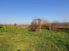Estate Agents Picture 1