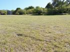 Estate Agents Picture 3