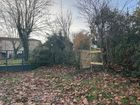 Estate Agents Picture 1
