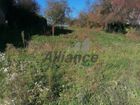 Estate Agents Picture 1