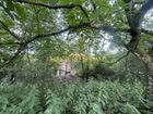 Estate Agents Picture 3