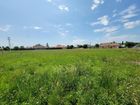 Estate Agents Picture 1