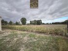 Estate Agents Picture 3
