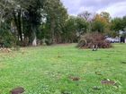 Estate Agents Picture 2