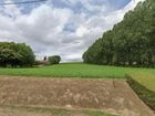 Estate Agents Picture 3