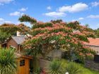 Estate Agents Picture 2