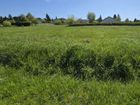Estate Agents Picture 3
