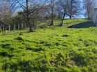Estate Agents Picture 2