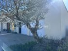 Estate Agents Picture 3