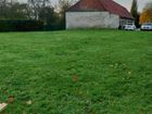 Estate Agents Picture 2