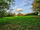Estate Agents Picture 1