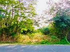 Estate Agents Picture 2