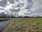 Estate Agents Picture 3