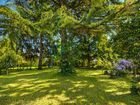 Estate Agents Picture 1
