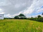 Estate Agents Picture 2