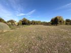 Estate Agents Picture 1