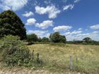Estate Agents Picture 2