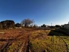 Estate Agents Picture 1