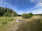 Estate Agents Picture 3