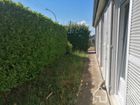 Estate Agents Picture 3