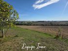 Estate Agents Picture 2