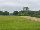 Estate Agents Picture 1