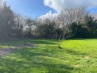 Estate Agents Picture 2