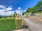 Estate Agents Picture 2