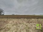 Estate Agents Picture 2