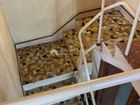 Estate Agents Picture 2