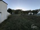 Estate Agents Picture 1