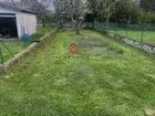 Estate Agents Picture 1