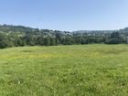 Estate Agents Picture 1