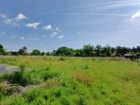 Estate Agents Picture 1