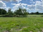 Estate Agents Picture 2