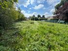 Estate Agents Picture 3