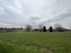 Estate Agents Picture 1