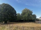 Estate Agents Picture 1