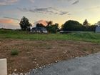 Estate Agents Picture 1